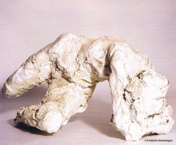 untitled   170cm long   *    plaster (clay moulage)  -   2000